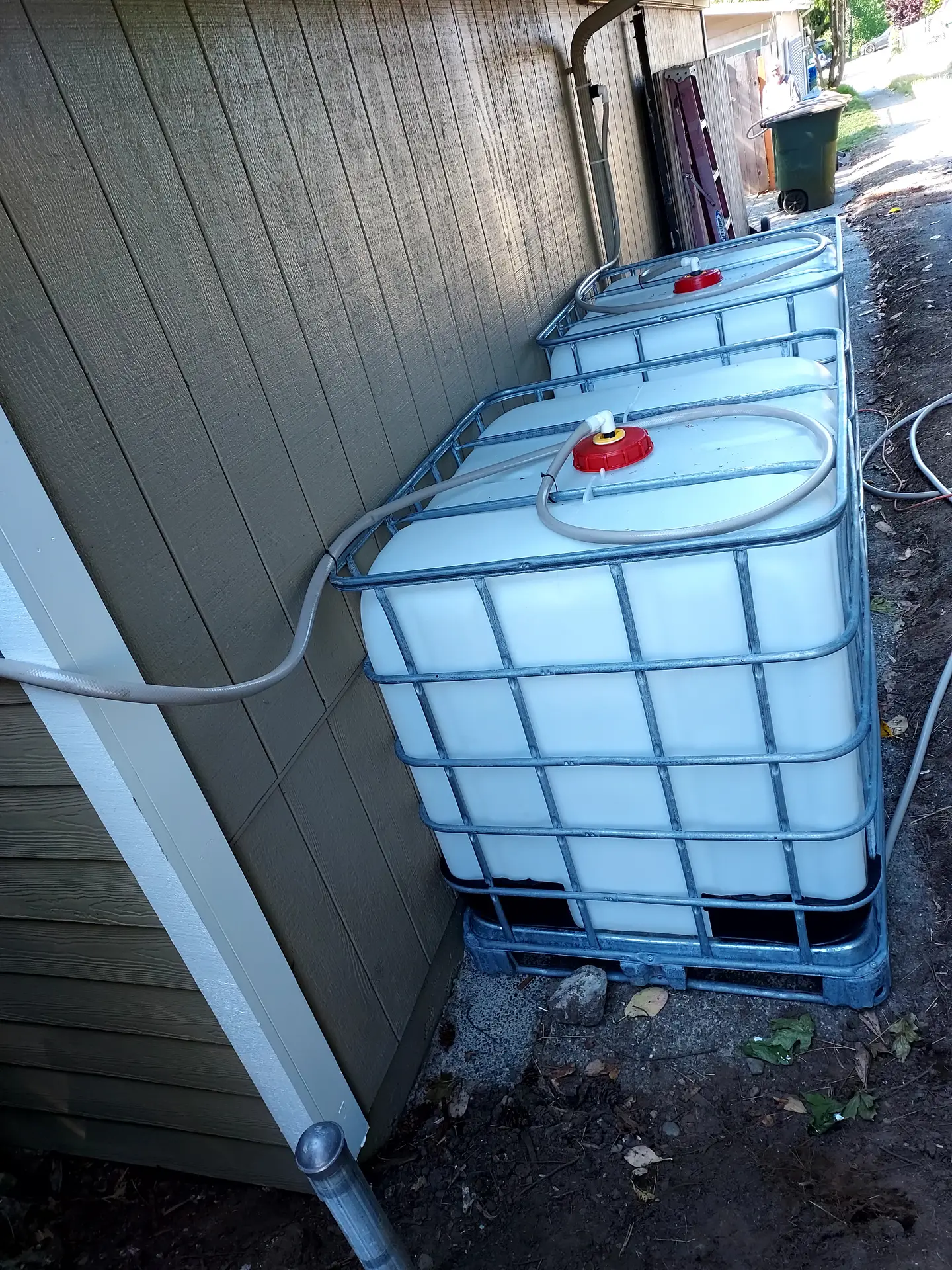"Two white IBC totes connected for rainwater storage behind detached garage showing modular rainwater collection system design with connecting hoses and gravity-fed positioning for garden irrigation"