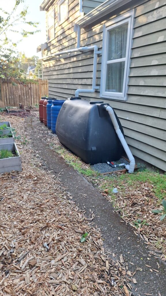 completed rainwater system installed in a back yard 