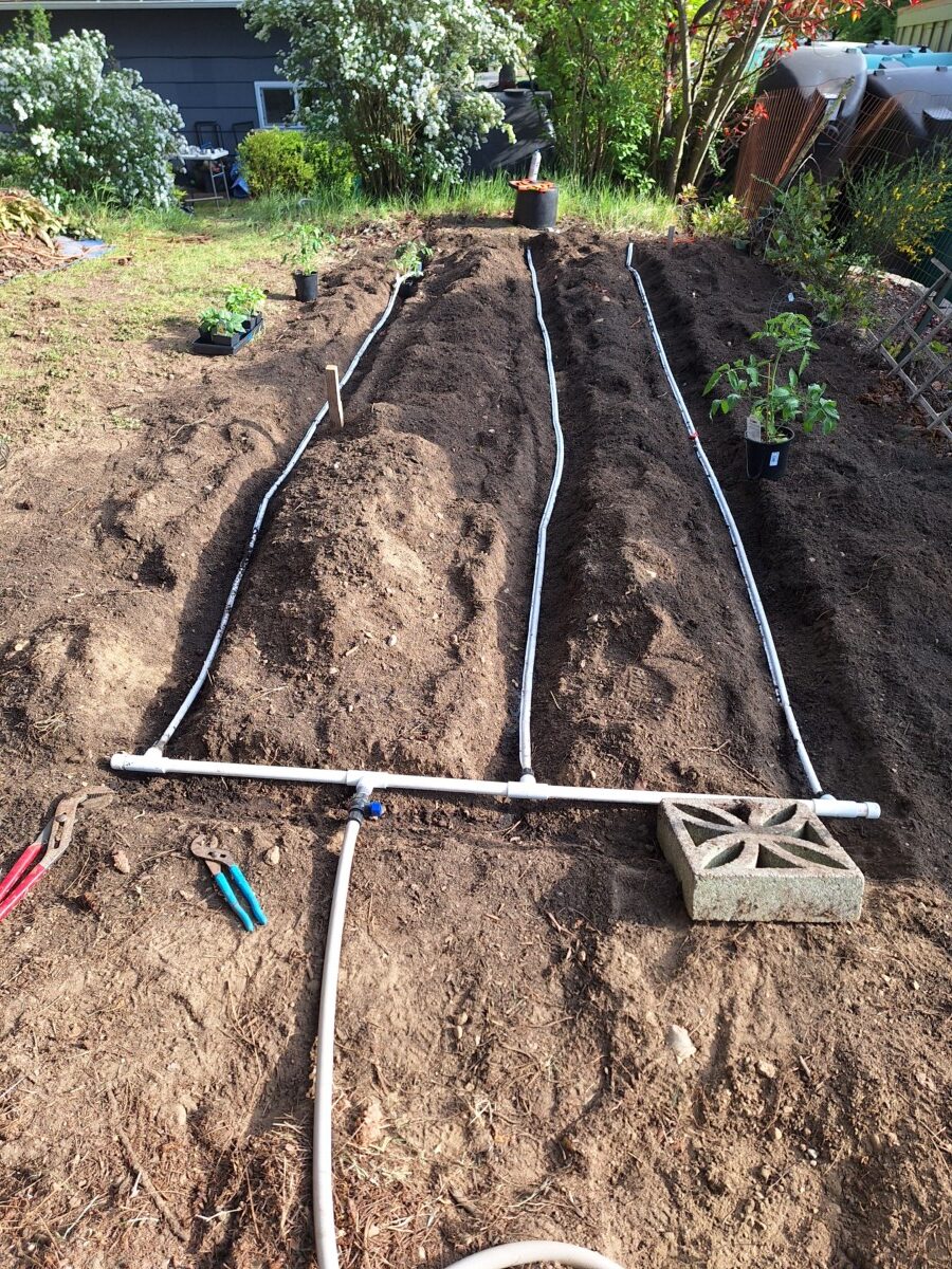 a rainwater harvesting irrigation system in action using revolutionary techniques.