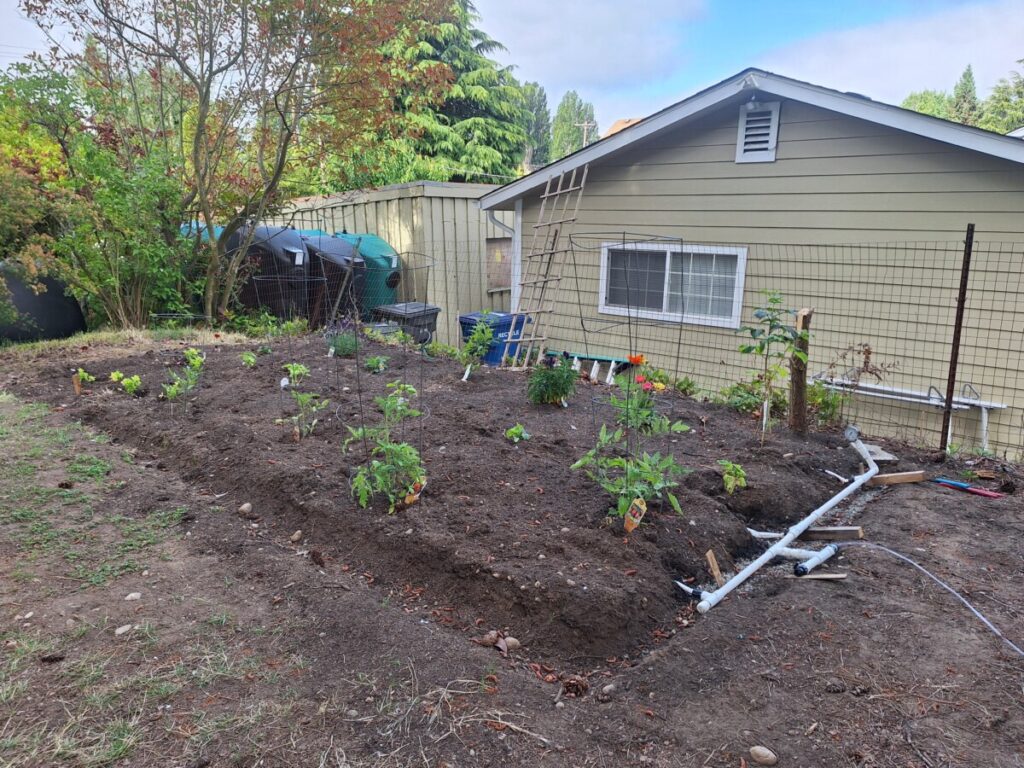 managing water use with stored rainwater and drip irrigation