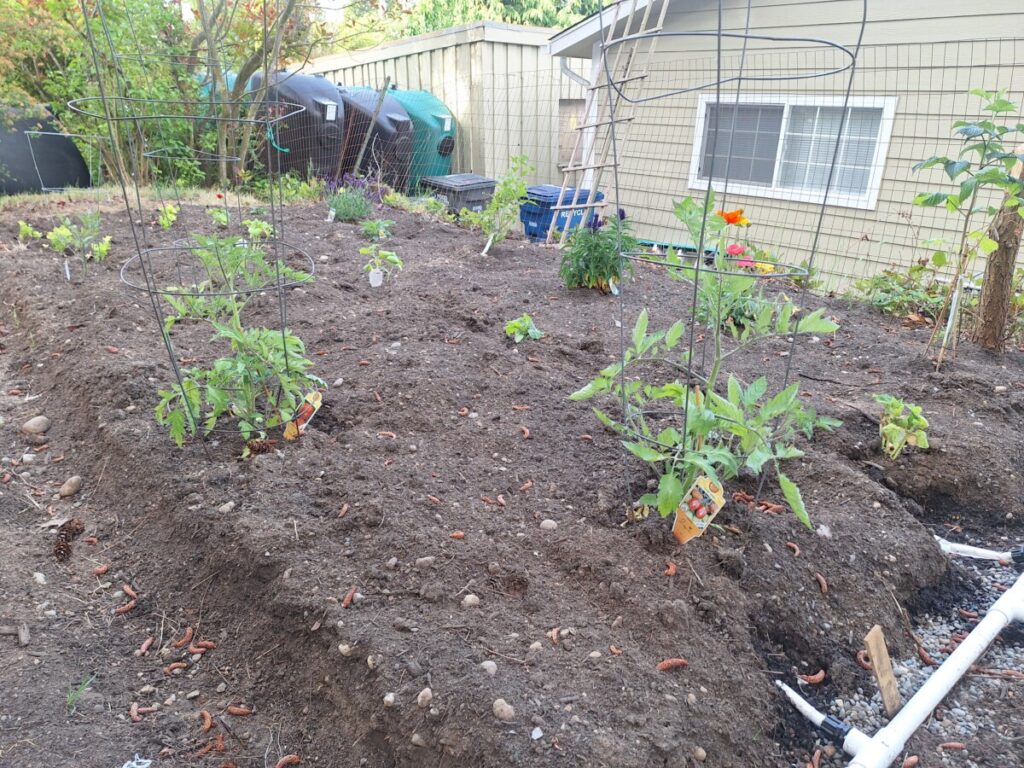 Freshly turn soil supporting our growth