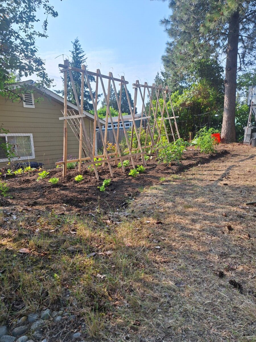 A lush garden with, vibrant healthy plants supported by a responsive drip irrigation system.