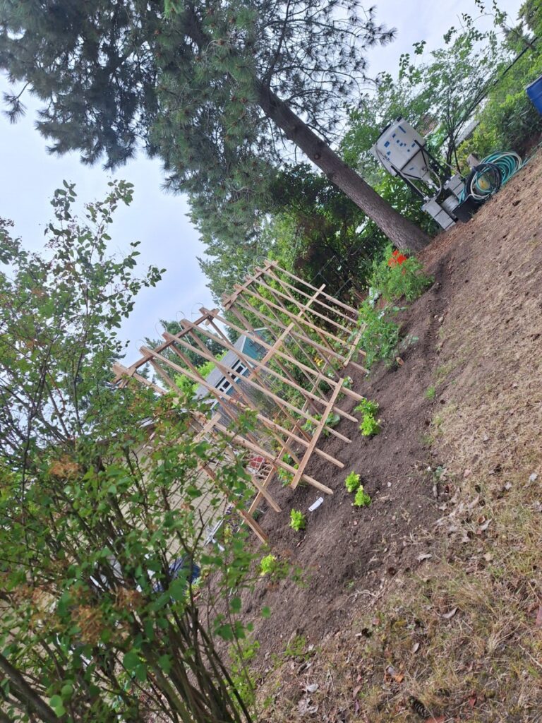test garden thriving under precision irrigation technology the plant controlled watering system ensures sustainable gardening with each plant receiving water directly at its root zone promoting water conservation and healthy growth.