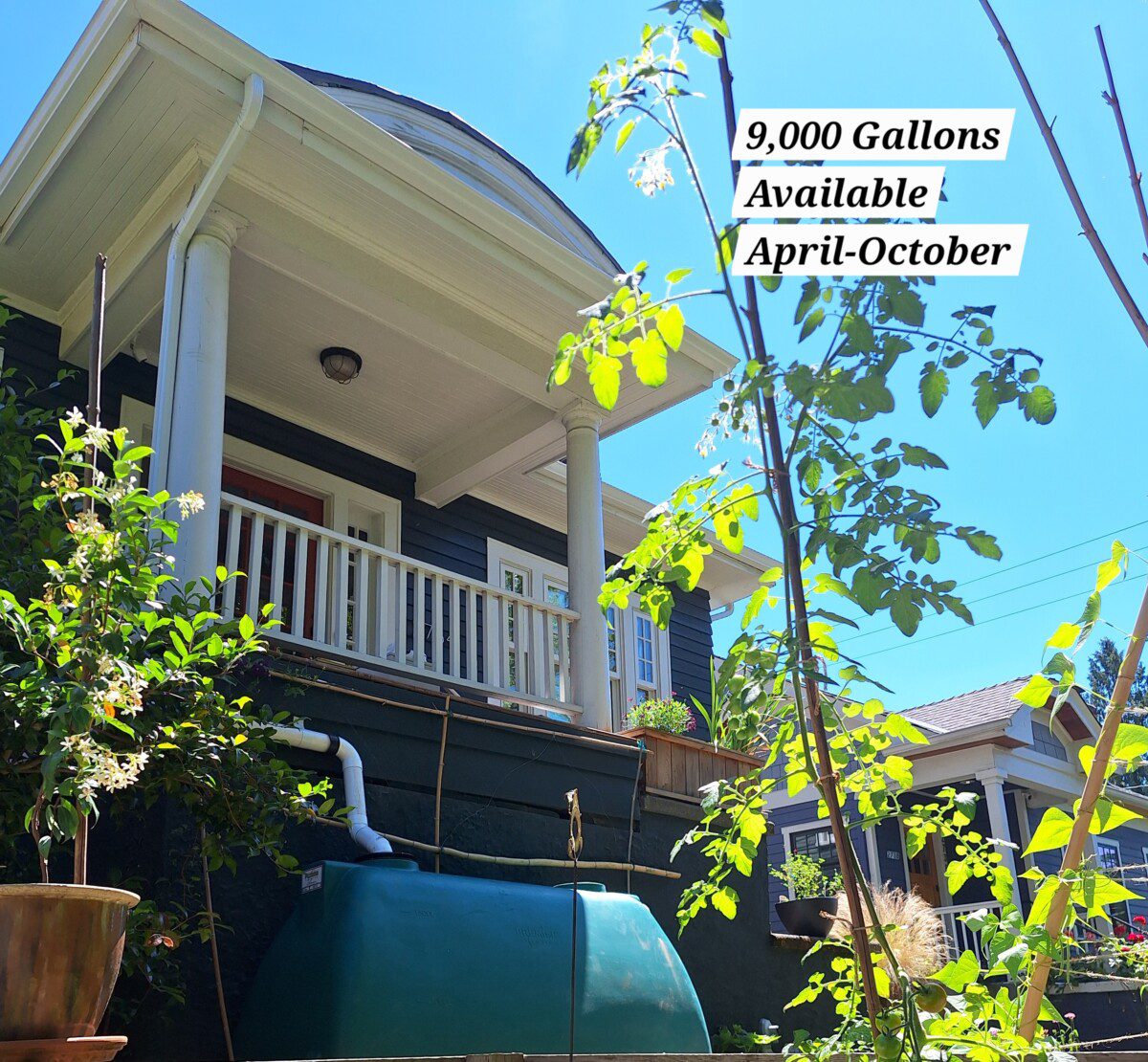 Stylish Rainwater Tank Nestled in a Compact Space