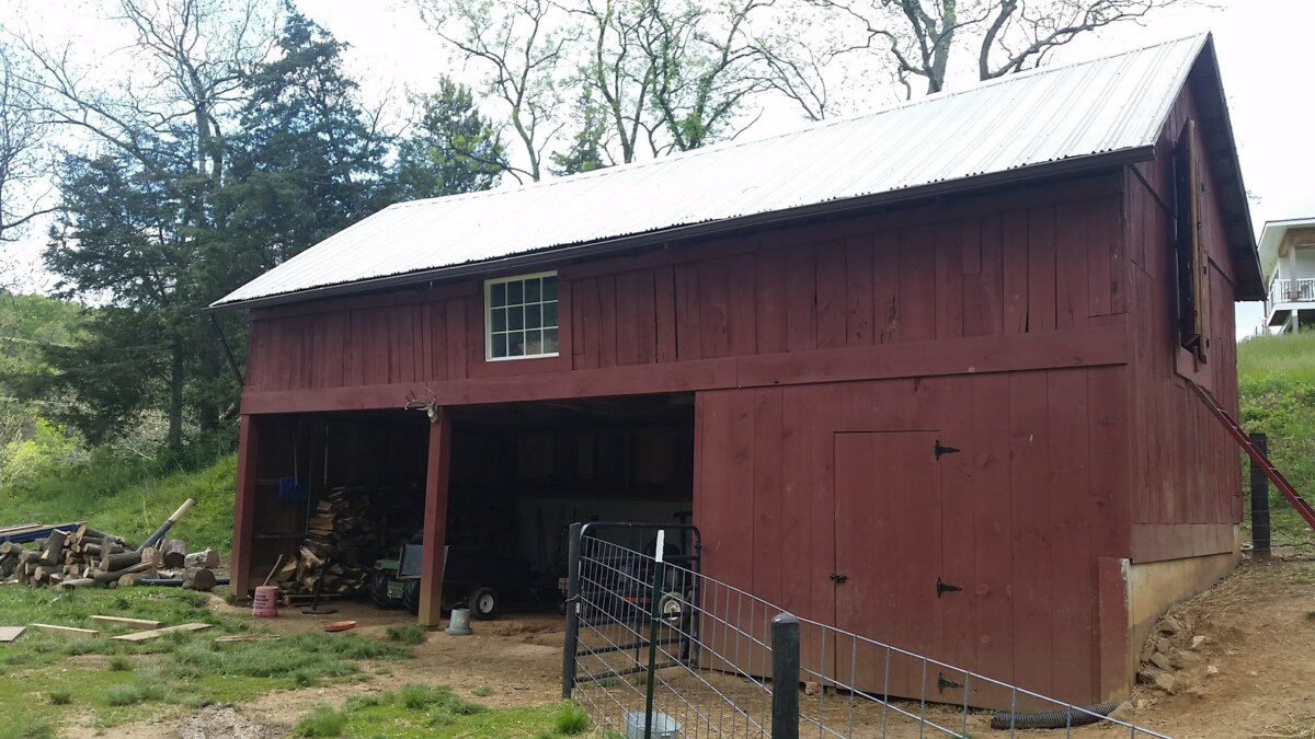 Livestock near water source